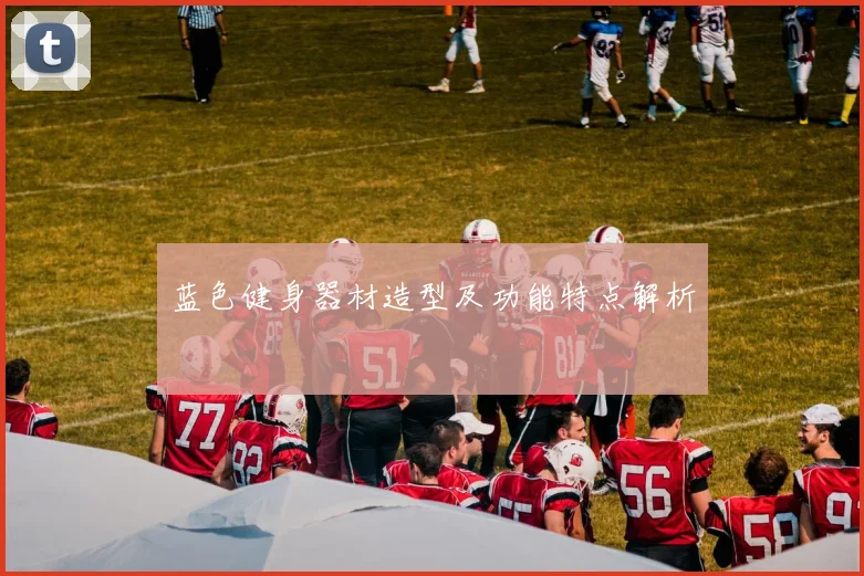 蓝色健身器材造型及功能特点解析