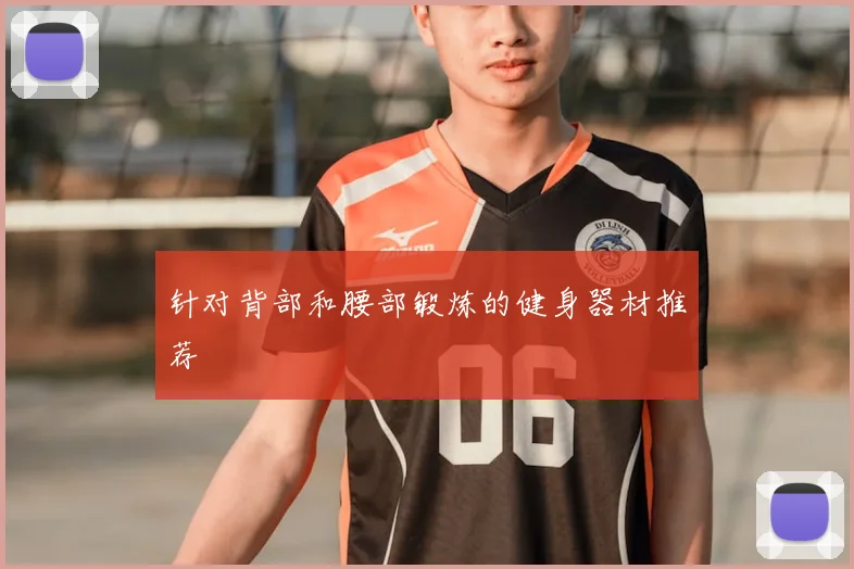 针对背部和腰部锻炼的健身器材推荐