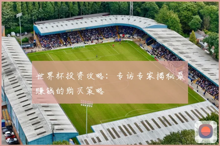 世界杯投资攻略：专访专家揭秘最赚钱的购买策略