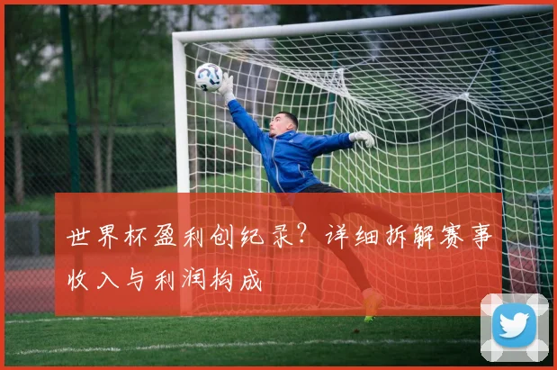 世界杯盈利创纪录？详细拆解赛事收入与利润构成
