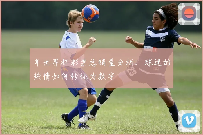 年世界杯彩票总销量分析:球迷的热情如何转化为数字