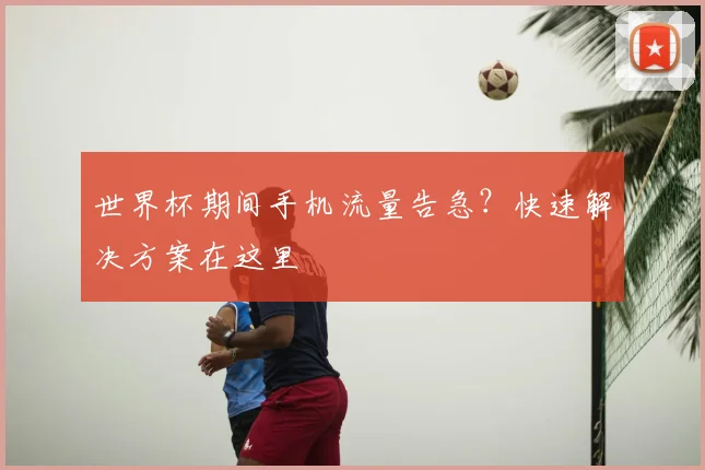 世界杯期间手机流量告急？快速解决方案在这里