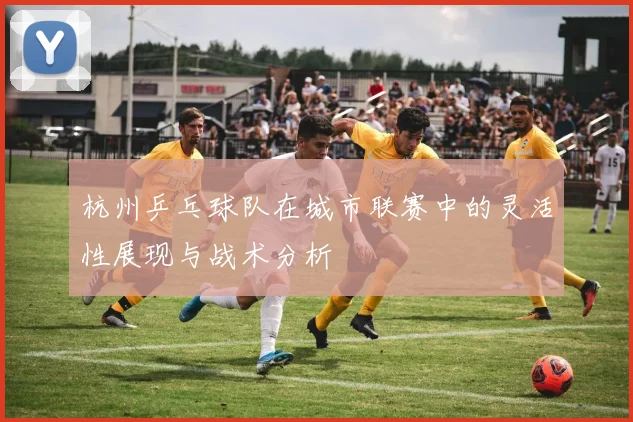 杭州乒乓球队在城市联赛中的灵活性展现与战术分析