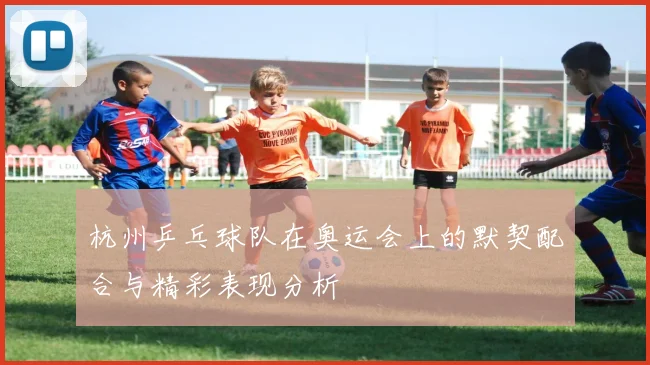 杭州乒乓球队在奥运会上的默契配合与精彩表现分析