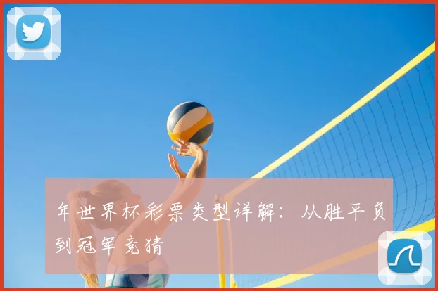 年世界杯彩票类型详解:从胜平负到冠军竞猜