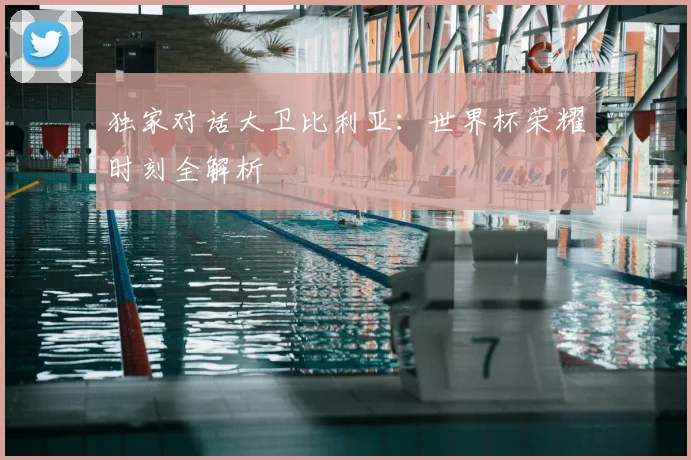 独家对话大卫比利亚:世界杯荣耀时刻全解析